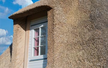 Cowmes thatch roof disadvantages